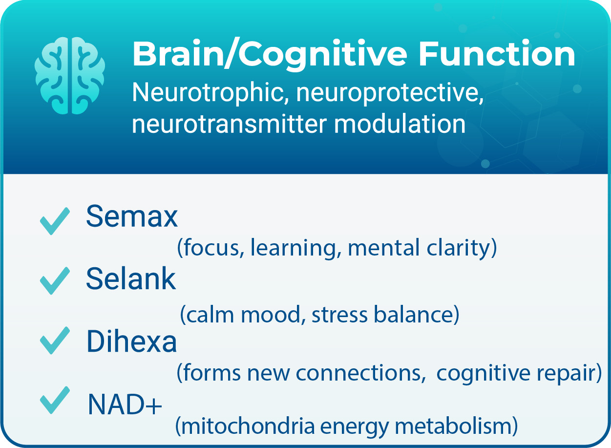 Brain / Cognitive Function