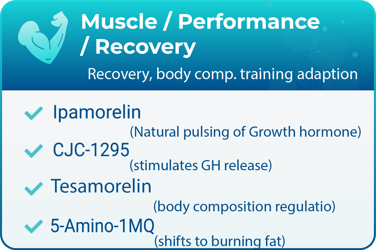 Muscle / Performance / Recovery